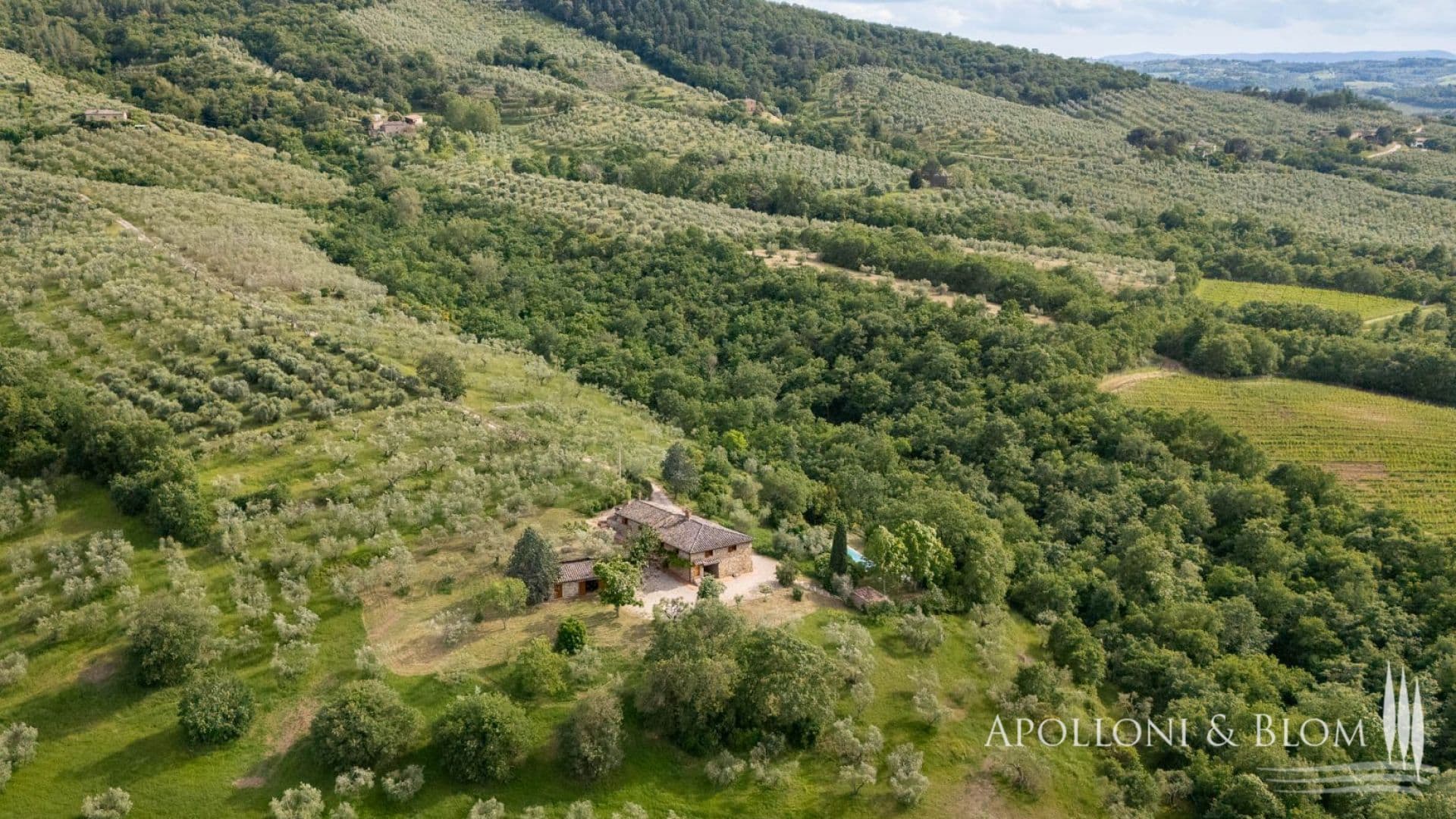 Renovated country house with pool and olive grove - Trasimeno Lake